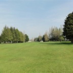 Golf Course 011